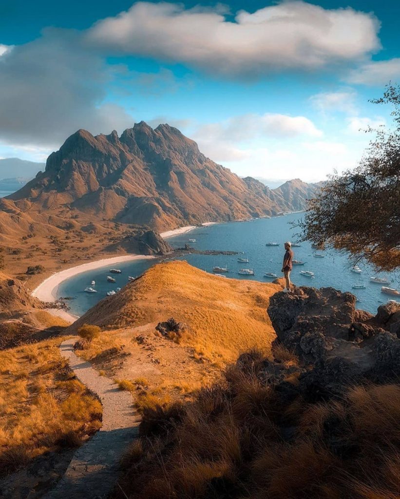 Why Padar Island is Perfect for A Post-Pandemic Gateway