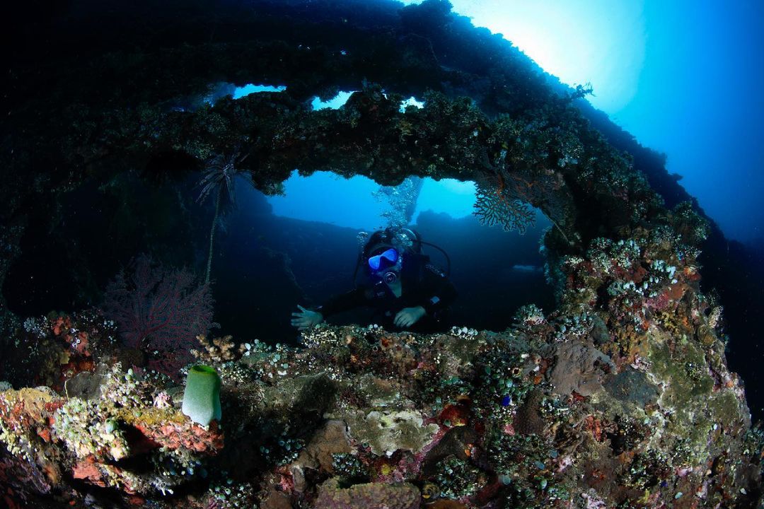 Why You Should Dive in Tulamben Bali